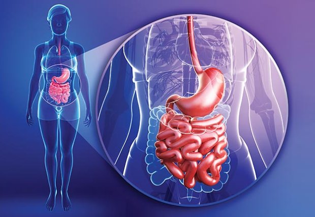 download diagnosing pancreatic cancer